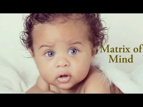 Your baby's beautiful brain.mov