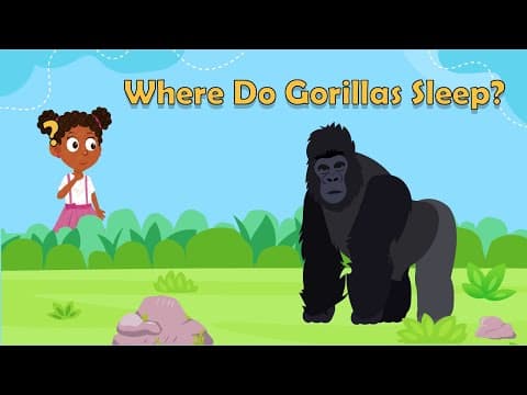 Where Do Gorillas Sleep - Animal Facts for Kids - Gorilla Facts - Monkey Facts For Kids