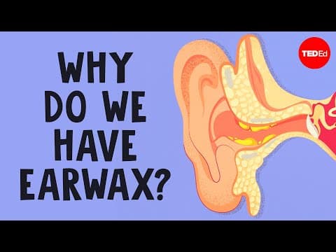Why do we have earwax?