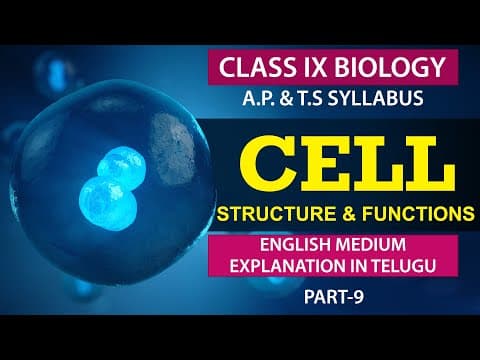 Cell | Cell Division | biology Cell