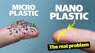 How plastics are accumulating inside us