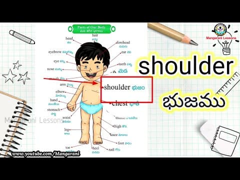 Learn a word a day, Word - shoulder & body