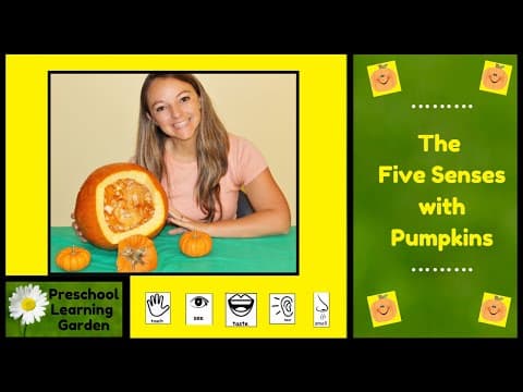 The five senses with pumpkins - educational video for kids