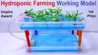 hydroponic farming working model for science exhibition | inspire award science project