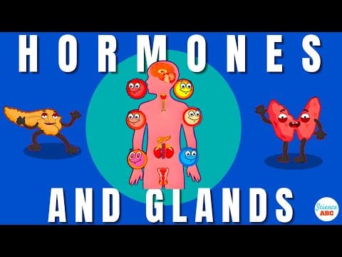 Endocrine System- Glands and Hormones
