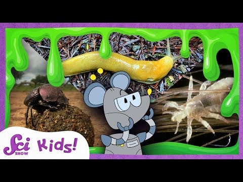 The Yuckiest Animals | SciShow Kids Compilation
