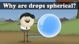 Surface Tension - Why are drops spherical aumsum kids science education children