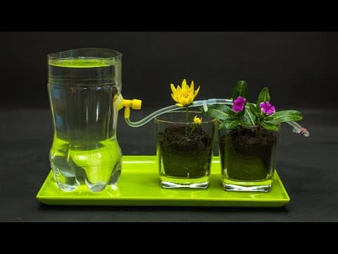 School Projects | Drip Irrigation Model