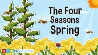 The Four Seasons – Spring