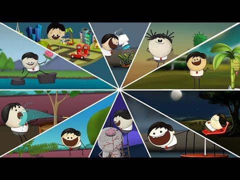 How do ears help with balancing?