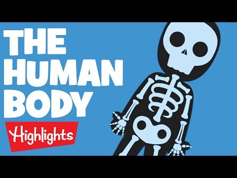 THE HUMAN BODY | Laugh, Learn and Play | 2020 Compilation | Highlights Kids - YouTube