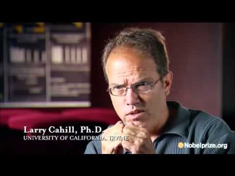 The Mystery of Memory