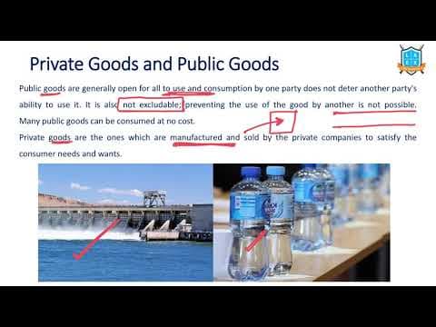 What is Public Good vs Private Good ? || Public Good vs Private Good అంటే ఏమిటి?