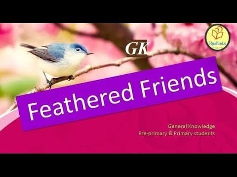 Feathered Friends ( Birds Names )