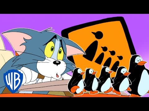 Tom and Jerry |The Antarctic Race|WB Kids