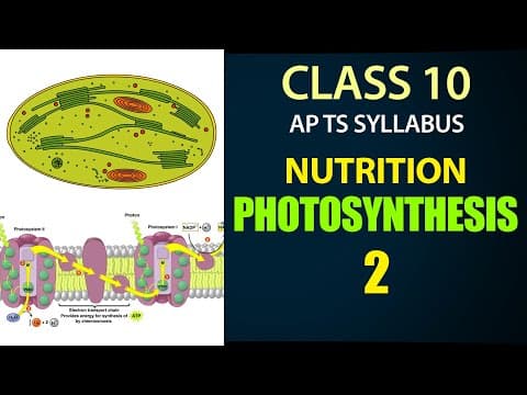 Nutrition |Photosynthesis Explanation in Telugu