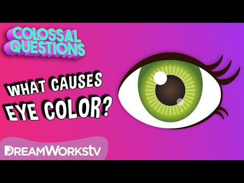 Why Are There Different Eye Colors? | COLOSSAL QUESTIONS