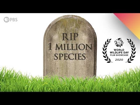 What Would Happen if ONE MILLION Species Went Extinct?