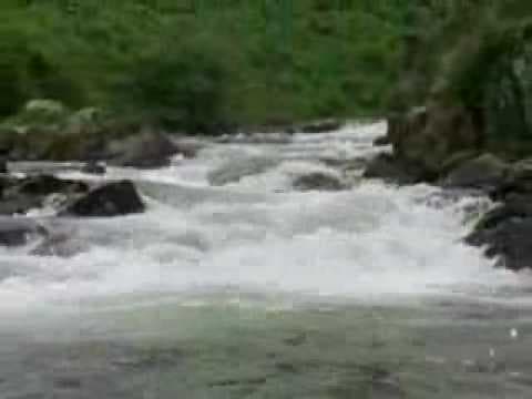 Life Cycle of Salmon