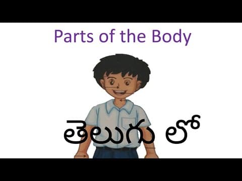 Parts of the body - for kids - in telugu