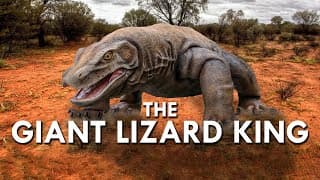 Megalania |The Biggest Lizard Of All Time