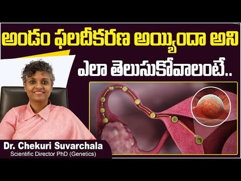 అండం ఫలదీకరణ | How Do You Know If An Egg is Fertilized | Dr Chekuri Suvarchala