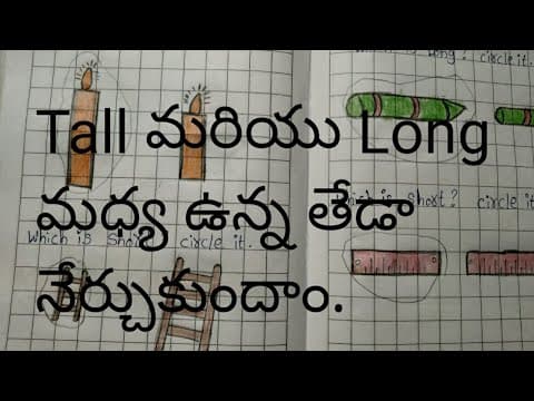 Tall and short - long and short - difference between tall and long - telugu