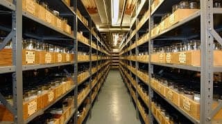 33 Million Things - Shelf Life #1