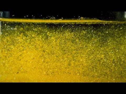 Experiment -Turning Lead into Gold Lead- Exploratorium