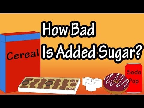 Sugar - What Is Added Sugar - Why Is Added Sugar Bad - How The Body Uses Sugar