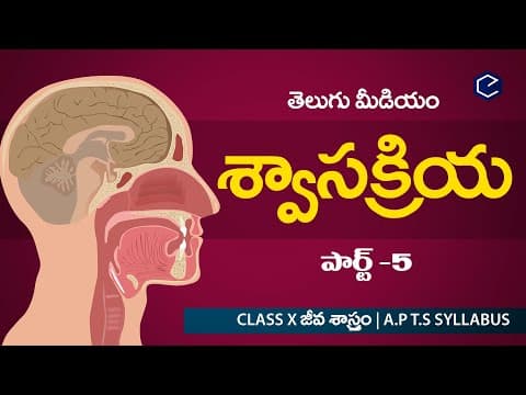 శ్వాస క్రియ Swasakriya part-5 | Biology Respiration