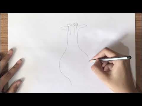 How To Draw Germination Of Pollen On Stigma