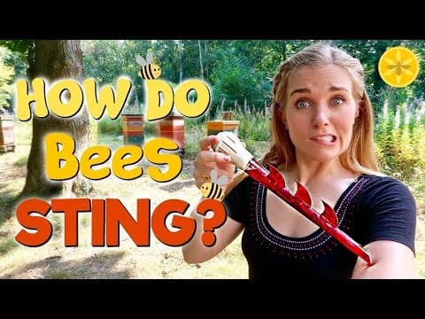 How and why do bees sting.