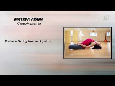 Asana in Yoga - Meaning of Yoga - What is Yoga - Evergreen Publications