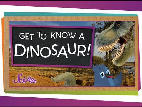 Get to Know a Dinosaur!