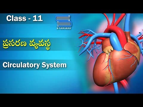 ప్రసరణ వ్యవస్థ - Circulatory Pathways | Body fluids and circulation