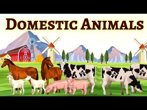 Domestic animals for kids | Farm animals | Pet animals | Domestic animals | Domestic animals name