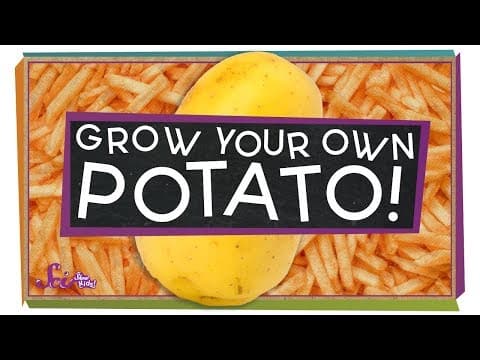 Grow Your Own Potatoes!