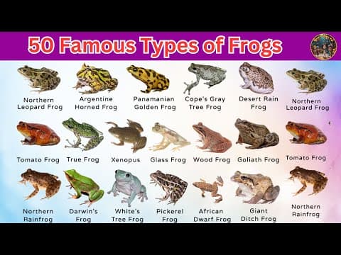 50 Famous Types of Frogs Around the World | Amazing Frog Species &amp; Fun Facts for Kids