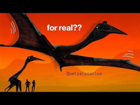 What Quetzalcoatlus was really like - YouTube