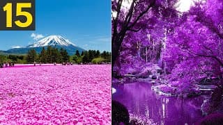 Most Beautifull Gardens in the World