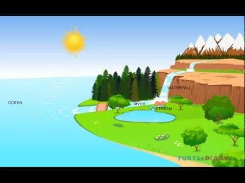 The Water Cycle EXPLAINED