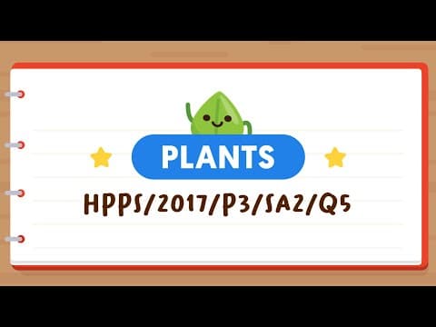 PSLE SCIENCE MADE SIMPLE EP92 | Plants | Comparing Plants With Weak Stems