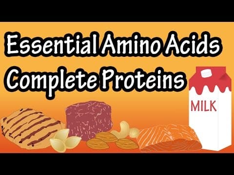What Are Complete Proteins, Incomplete Proteins, Essential Amino Acids, Non Essential Amino Acids