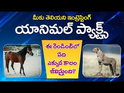 Interesting ANIMAL FACTS in telugu | Animal GK facts in telugu | Telugu knowledge games | Animal GK