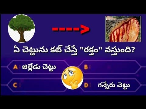 Interesting questions and answers in Telugu|Current affairs|Unknown facts|General Knowledge quiz|gk
