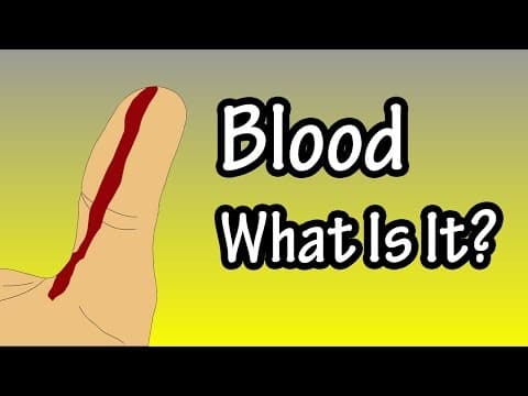 Blood - What Is Blood - Primary Functions Of Blood - Components Of Blood - What Does Blood Do