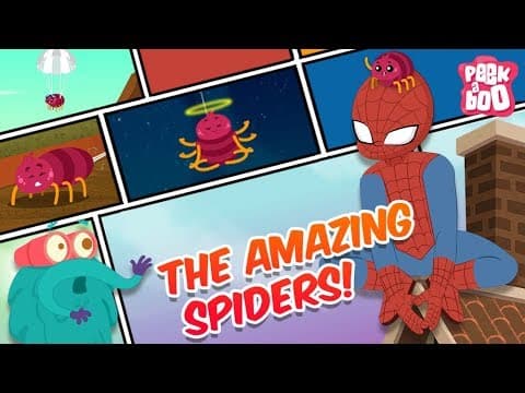 How amazing are spiders!