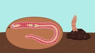 Earthworms by Peter Weatherall