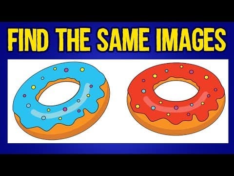 Find the same images challenge - find the 2 same pictures